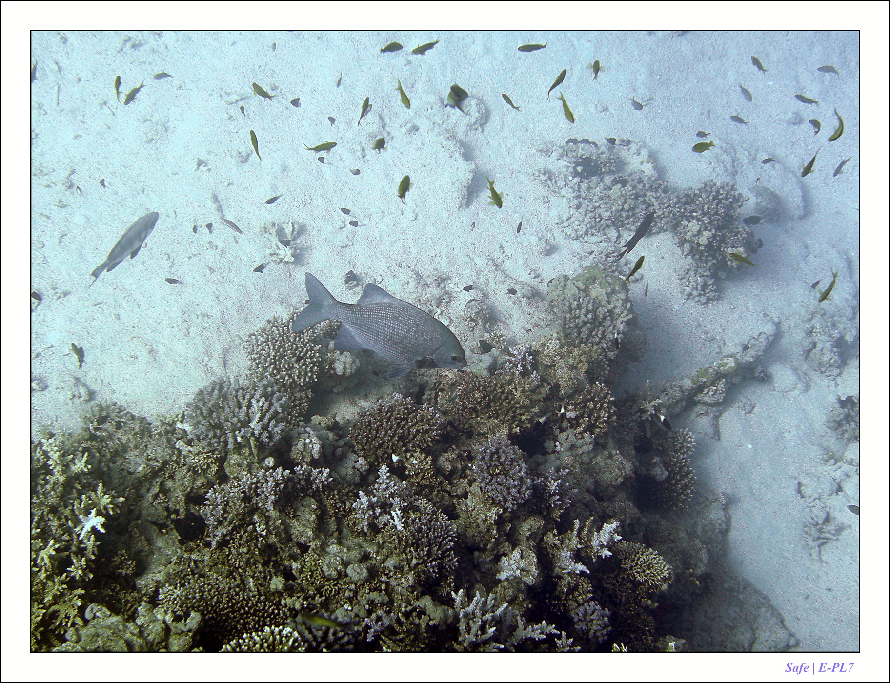 2023 - 03 - Charm El Sheikh - 02